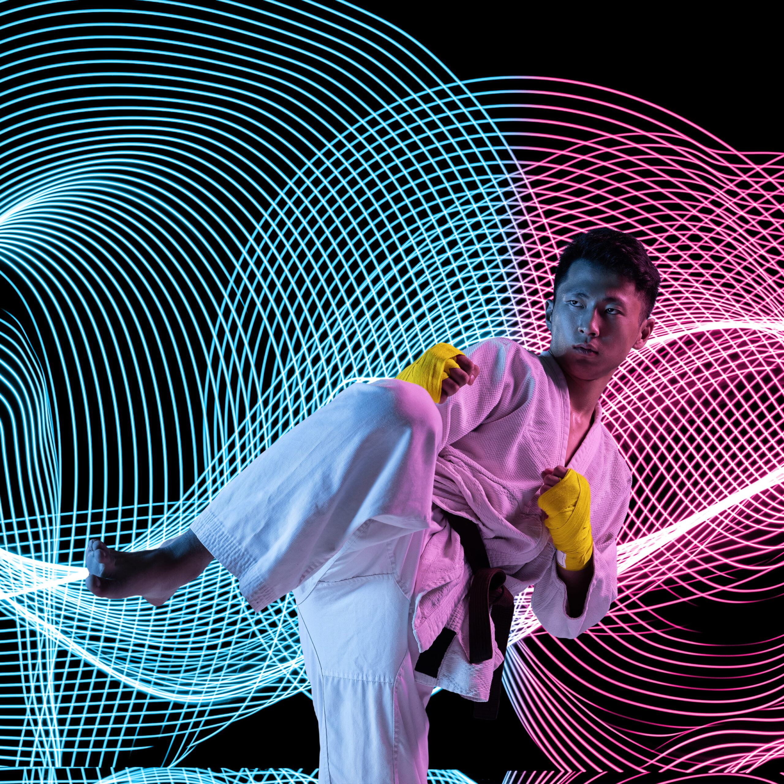 A Guide to Japanese Martial Arts List of Styles and Guide